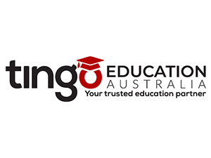 tingo.png